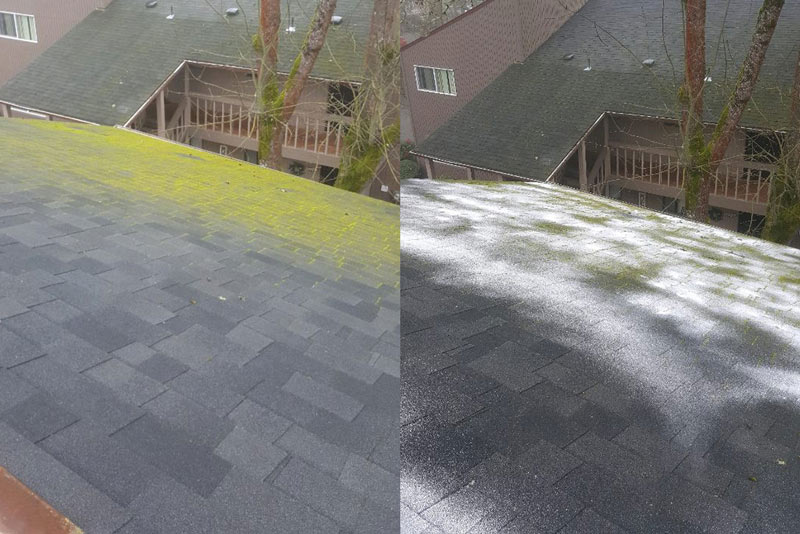 Roof Moss Removal