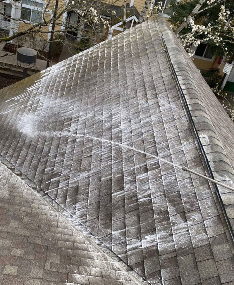 Roof Moss Removal Services in Everett WA