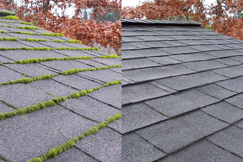 Roof Moss Removal Services in Factoria WA