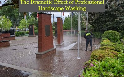 The Dramatic Effect of Professional Hardscape Washing