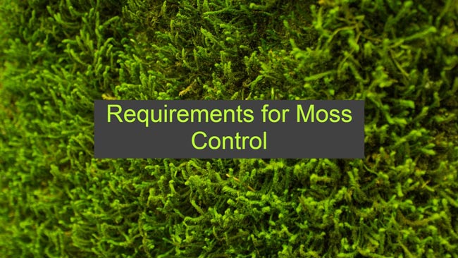 Oregon Department of Agriculture Requirements for Moss Control