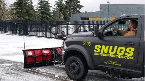 Why You Need To Hire Snow Removal Professionals