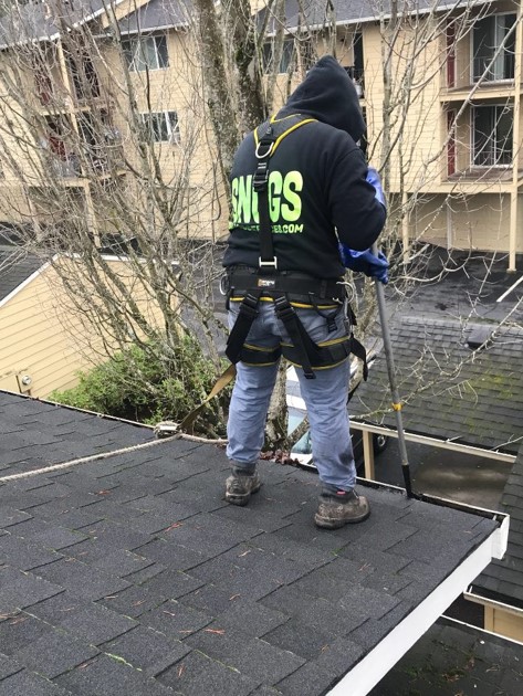 Gutter Cleaning