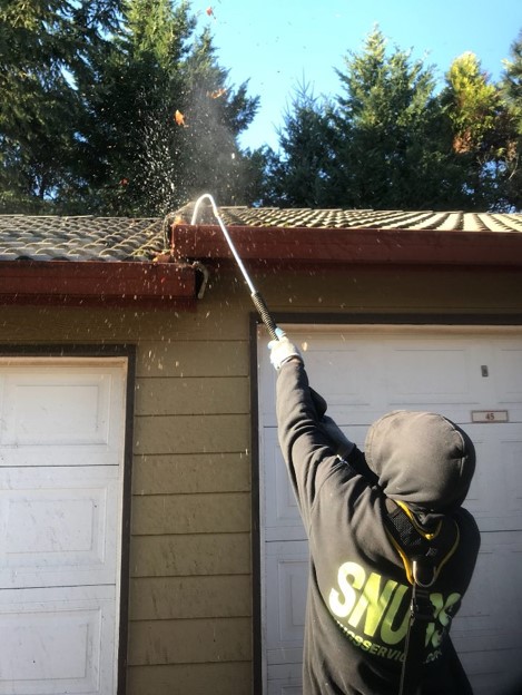 Gutter Cleaning