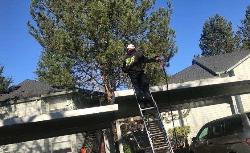 Roof And Gutter Cleaning