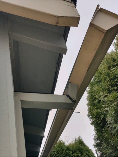 Gutter Repair and Installation