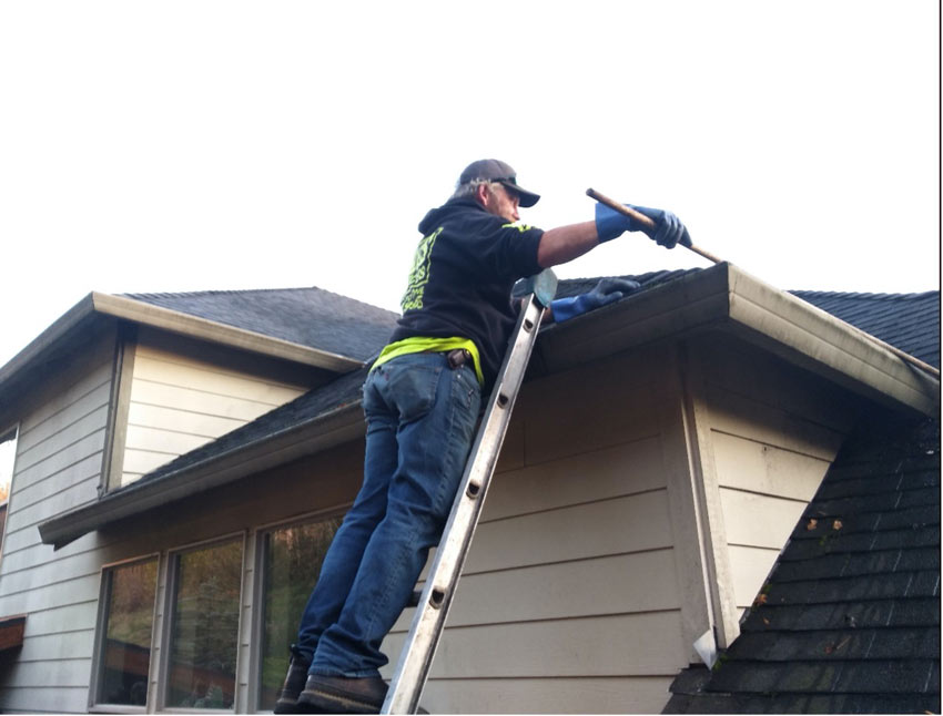 gutter cleaning needs