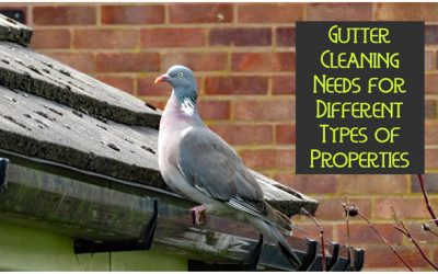 Gutter Cleaning Needs for Different Types of Properties