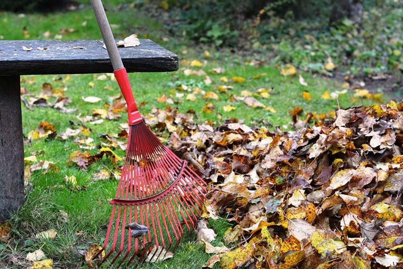 You Shouldn't Skip Leaf Removal