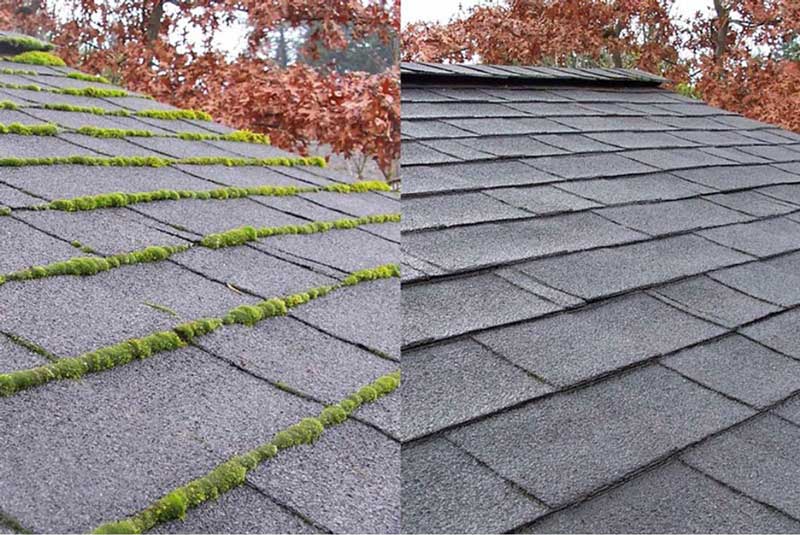 Roof Moss Removal / Soft Washing - Bright Roof Ltd