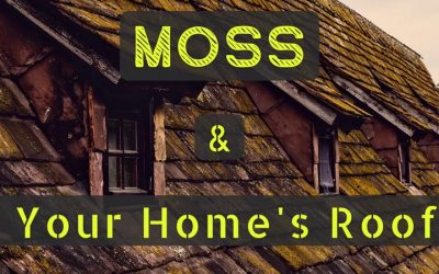 Moss And Your Home’s Roof