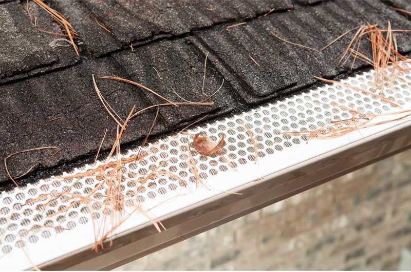 Gutter Guards: Are They Worth It?