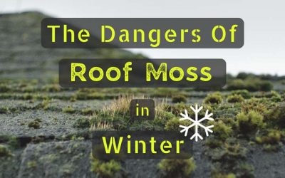 The Dangers Of Roof Moss in Winter