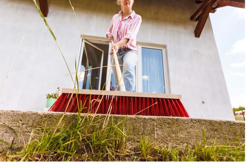 Summer Patio Cleaning & Maintenance