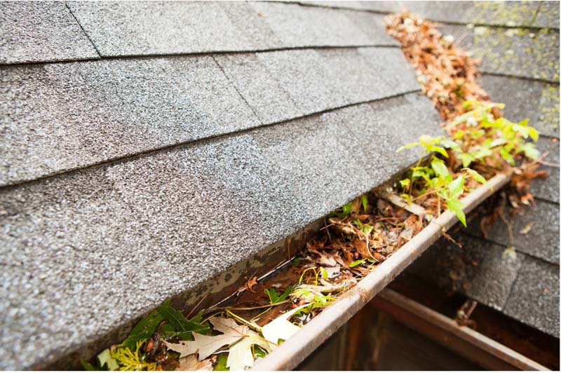 The Hidden Dangers of Neglecting Your Gutters