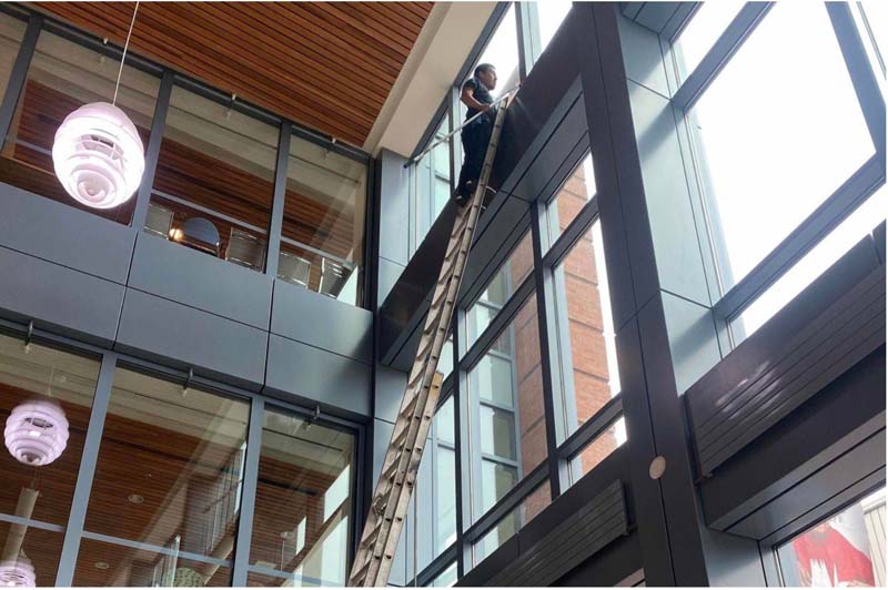 9 Reasons You Need Professional Window Cleaning Services