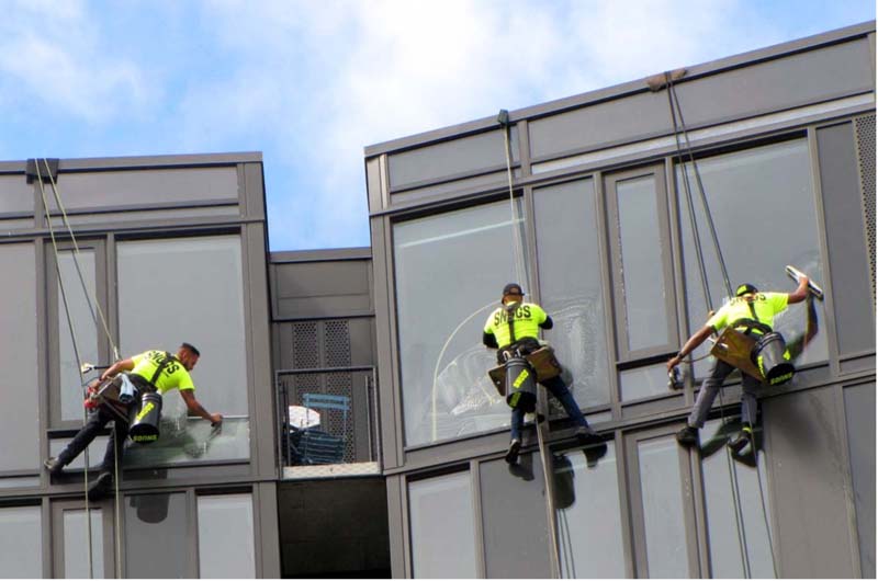 9 Reasons You Need Professional Window Cleaning Services