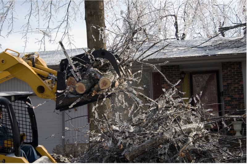 A Homeowners Guide to Winter Storm Recovery