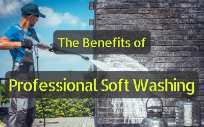 The Benefits of Professional Soft Washing
