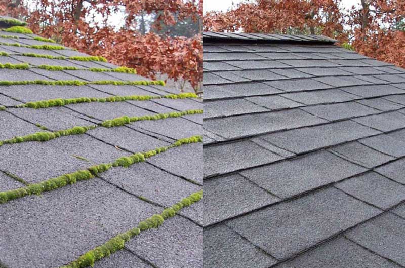 Moss, Mold, and Grime: Pressure Washing Solutions for Portland Properties