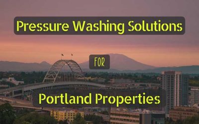 Moss, Mold, and Grime: Pressure Washing Solutions for Portland Properties