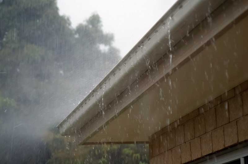 Why Professionally Installed Gutters Are Important for a Healthy Roof