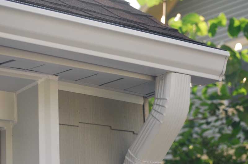 Why Professionally Installed Gutters Are Important for a Healthy Roof