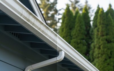 Gutter Brightening Services in Vancouver WA: The 2026 Restoration Guide