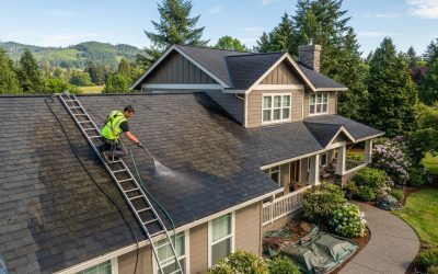 Roof Soft Washing in Hillsboro: Costs, Quotes and Care