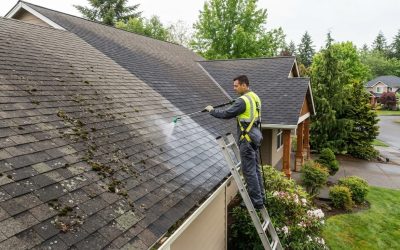 Roof Stain Removal in Keizer: Causes, Safe Cleaning, and What to Expect