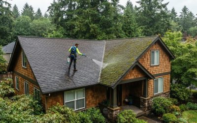 Soft Washing for Roof Moss and Green Buildup in Tigard